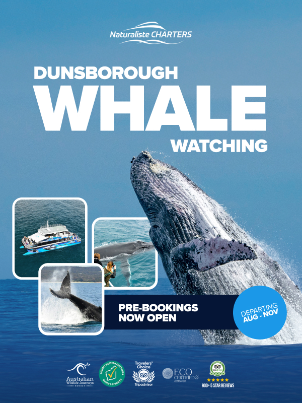 Whale Watching Dunsborough